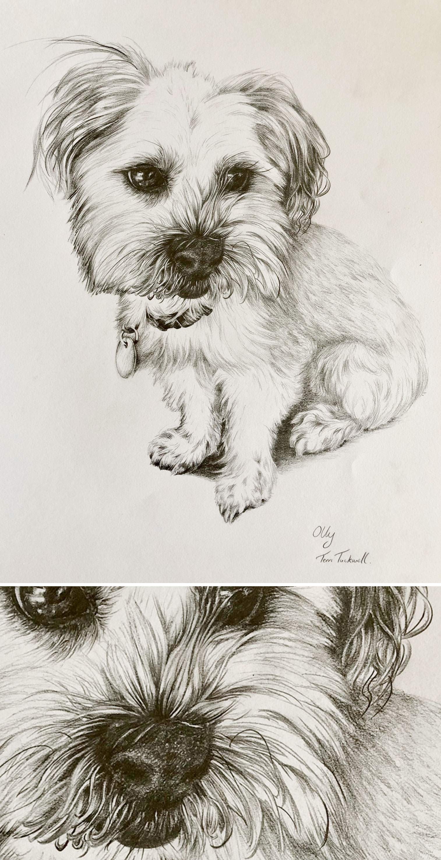 Full Body Animal Portraiture